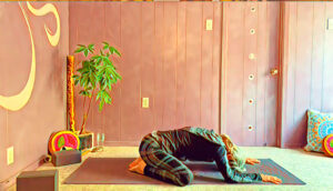 Edited in Prisma app with Vivid